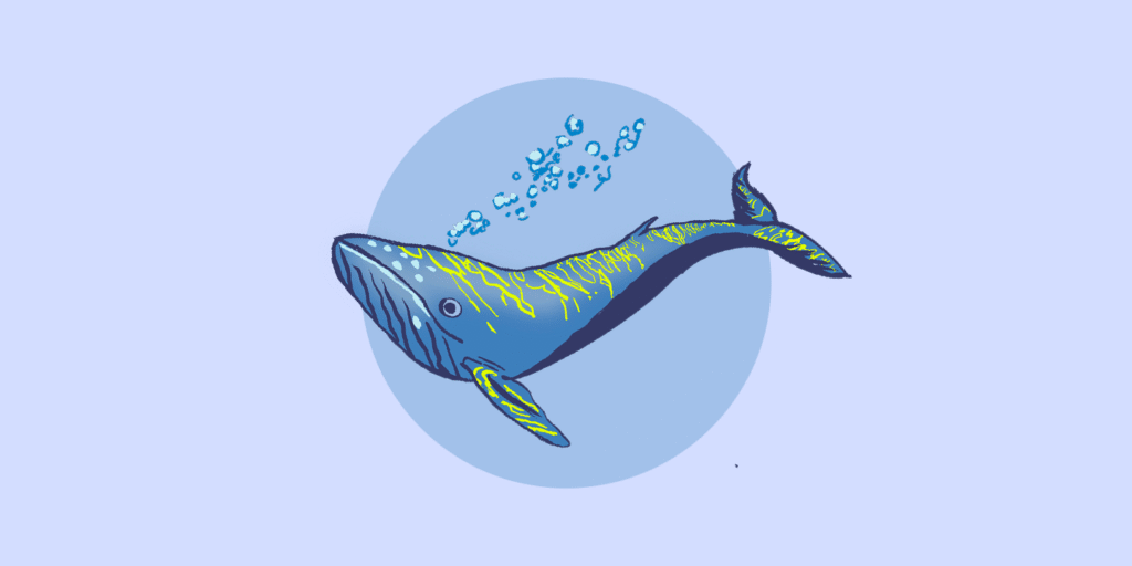 portada cuando una ballena muere 02, y cuando una startup gigante cae.