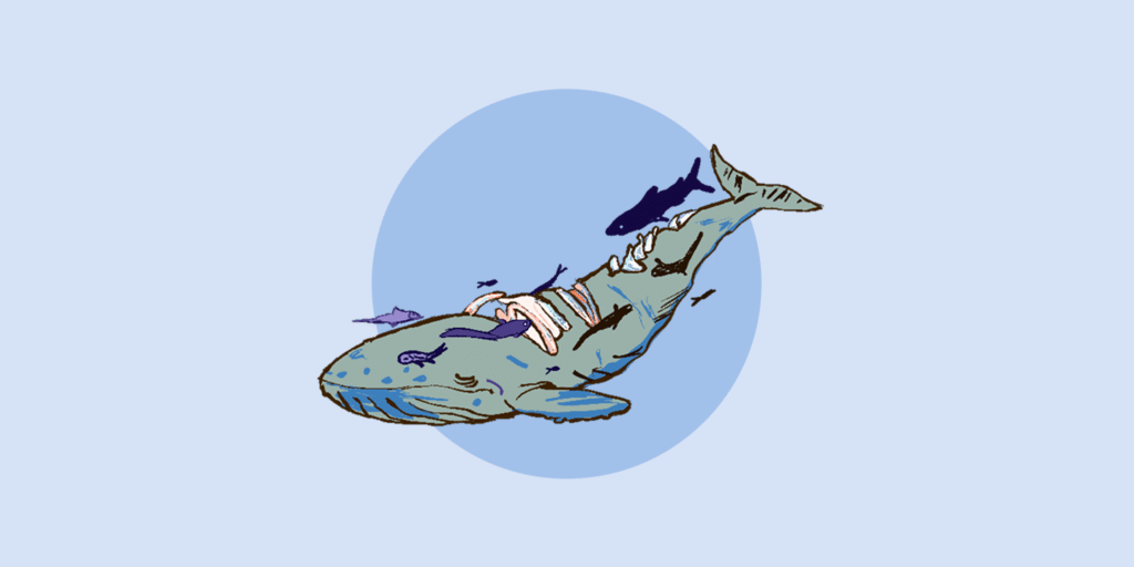 portada cuando una ballena muere